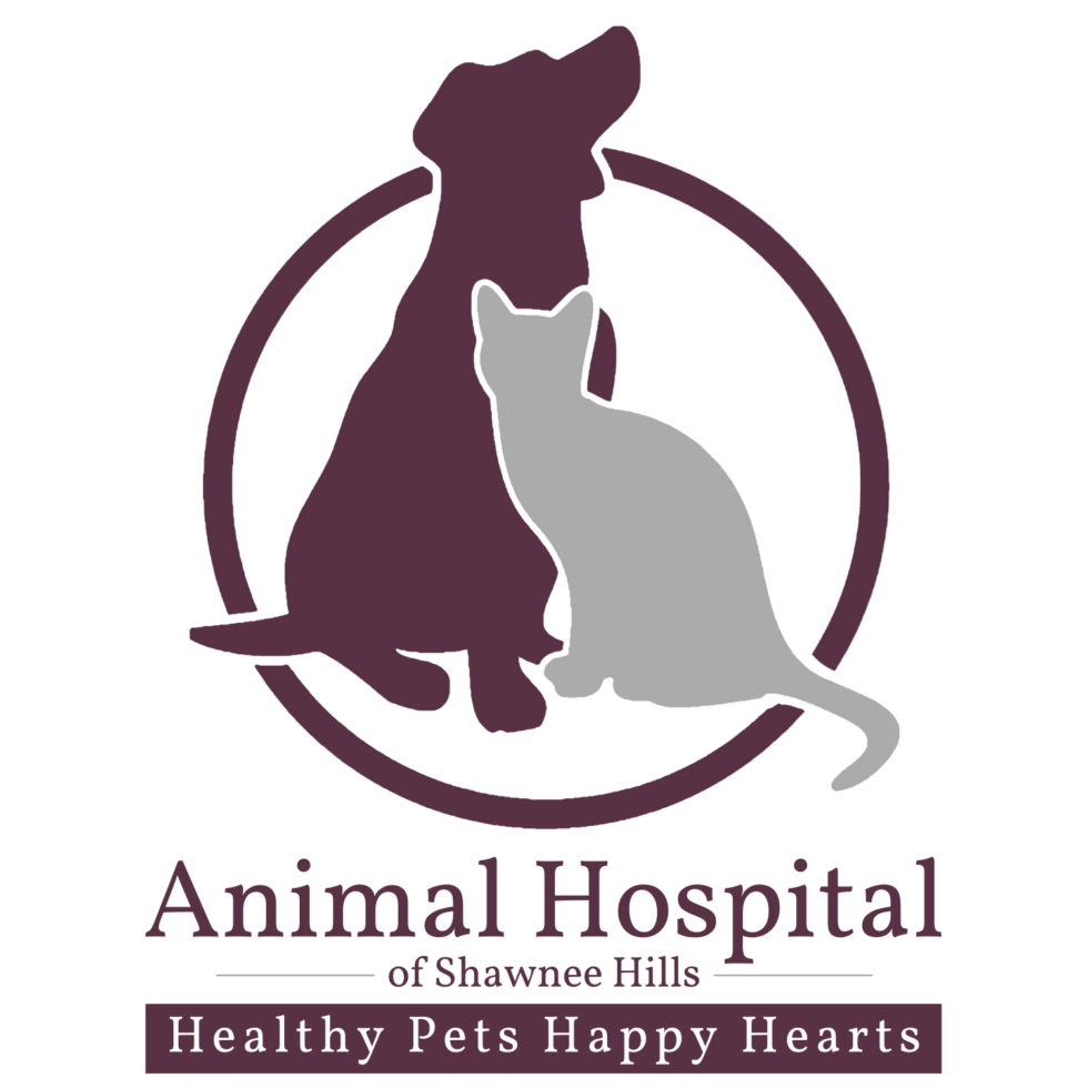 Vet Near Me Powell, OH 43065 | Animal Hospital Of Shawnee Hills