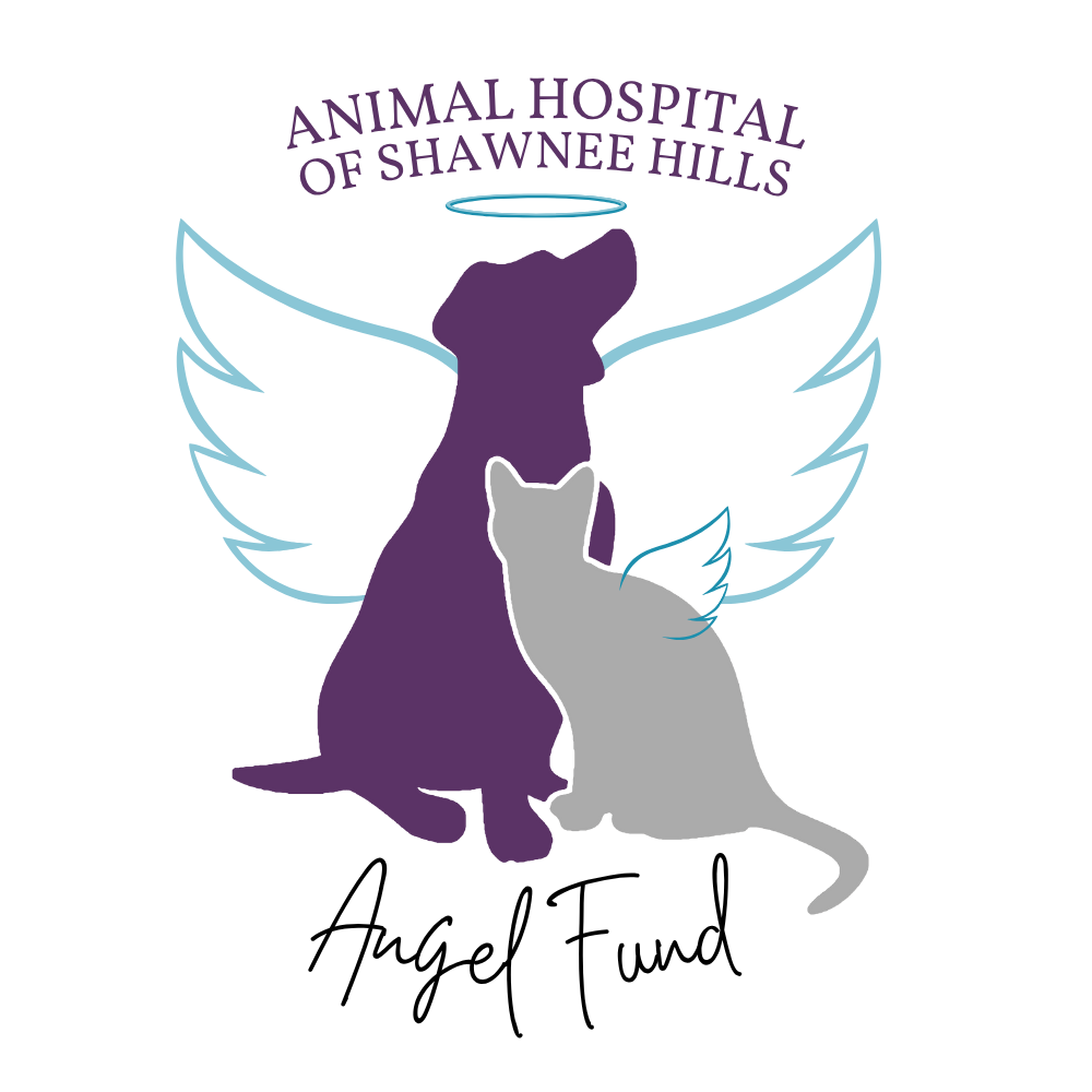 Angel Fund Logo