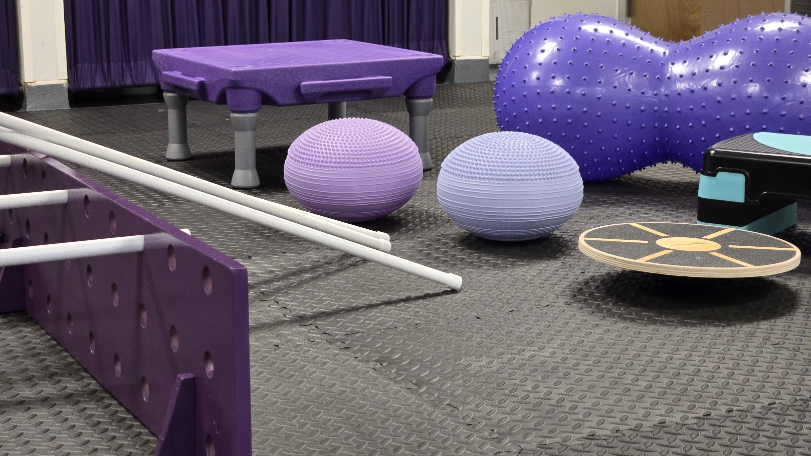 Purple and blue canine rehab gym with balance balls, wobble board, step platform, and agility poles