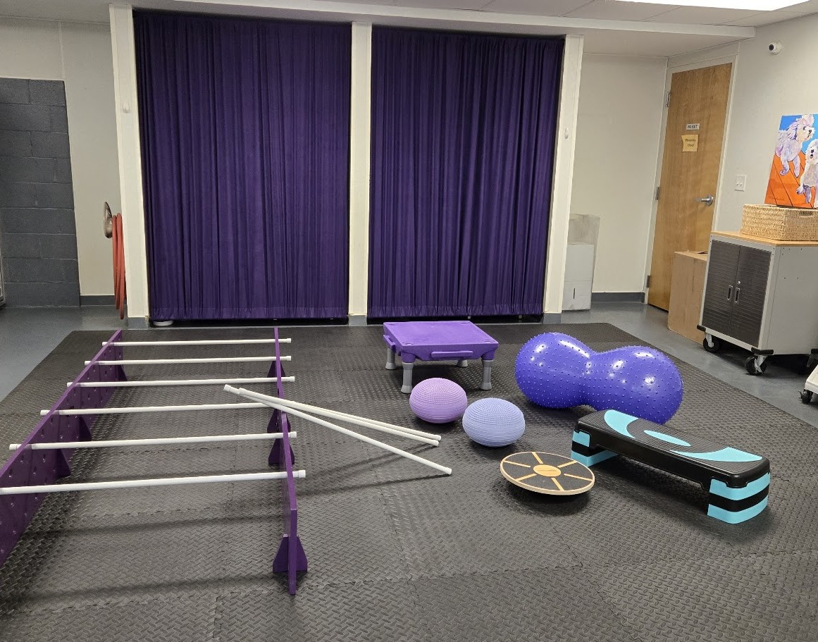 Indoor canine rehab room with agility poles, balance balls, wobble board, and step platform