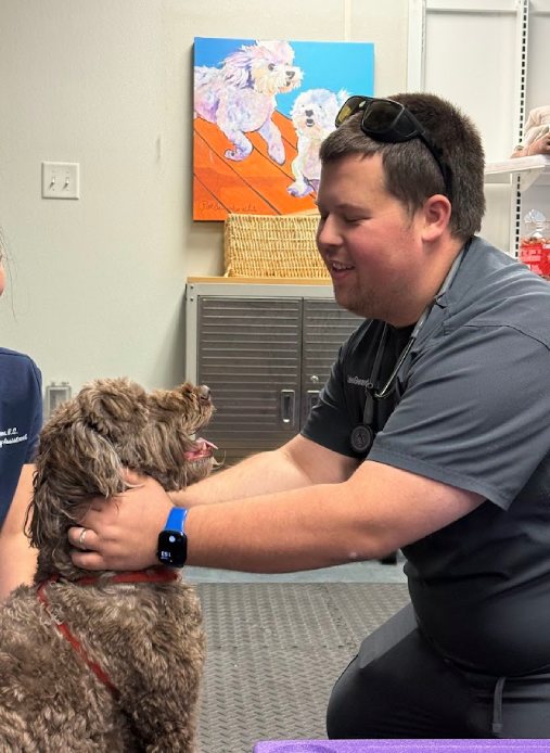 IMG_4117 Veterinarian examines happy brown curly-haired dog during checkup in clinic with colorful dog art