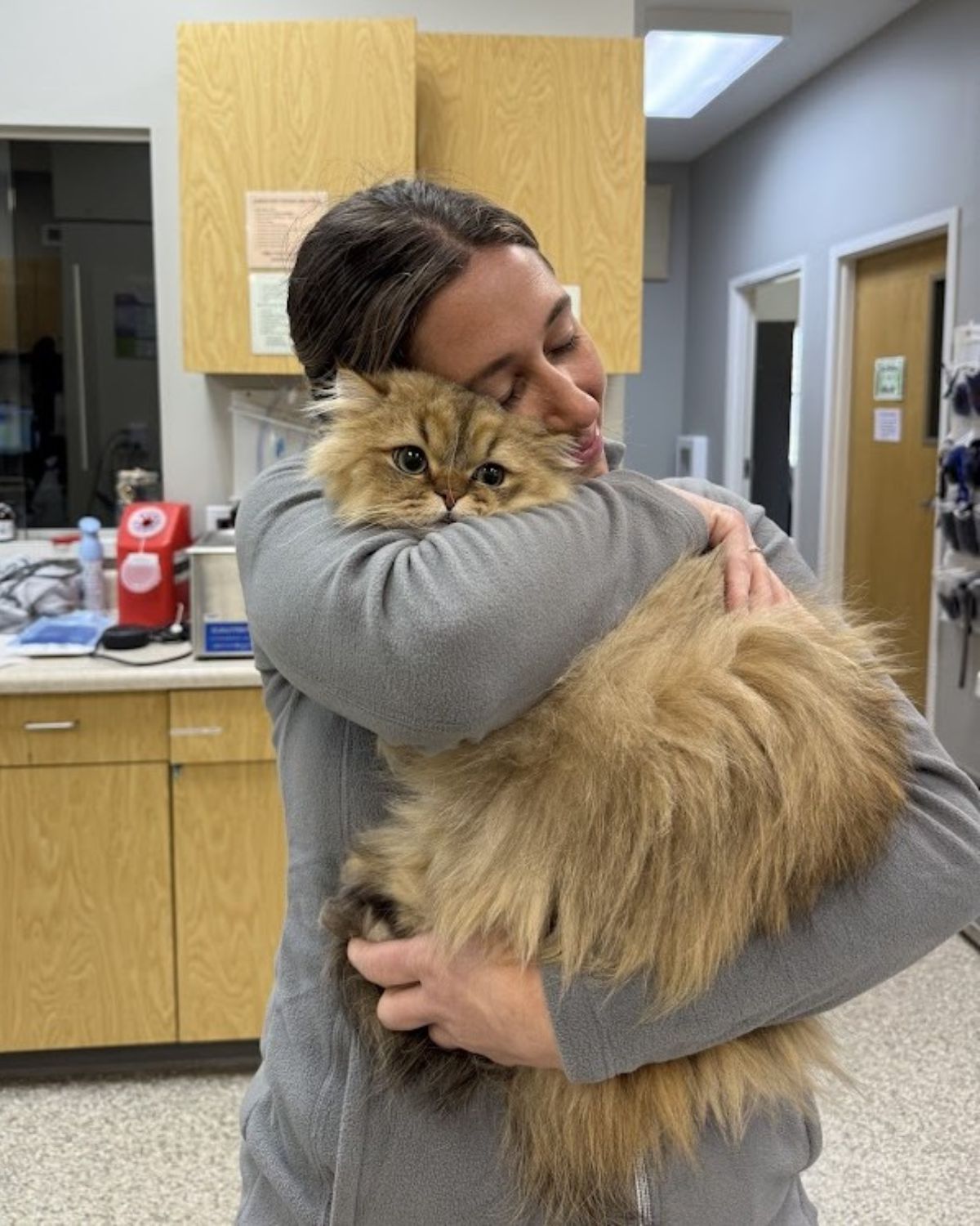 A woman lovingly hugs a large cat