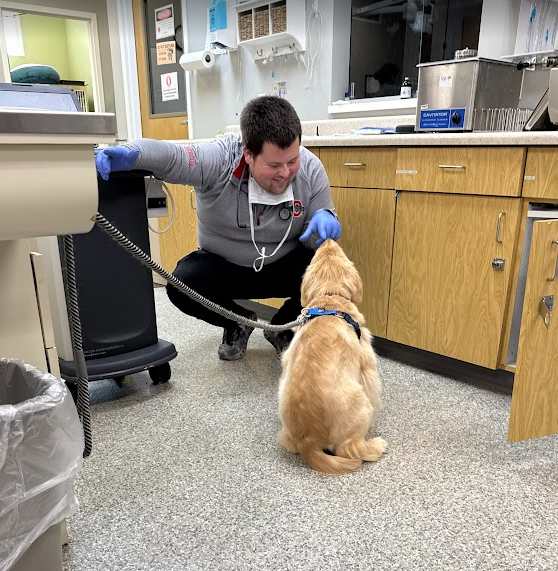 Animal Hospital of Shawnee Hills - vet reviews 